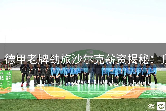 德甲老牌劲旅沙尔克薪资揭秘：顶薪150万欧，多名功勋自愿降薪留队