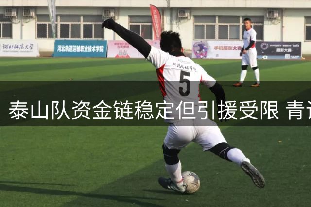泰山队资金链稳定但引援受限 青训造血能力静待复苏